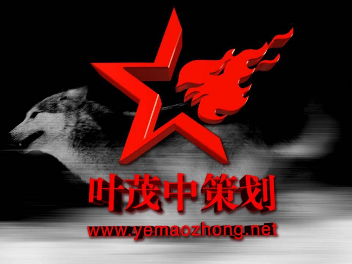 2004三六一度项目阶段提案圣诞元旦促销活动方案-叶茂中-54P_第2页