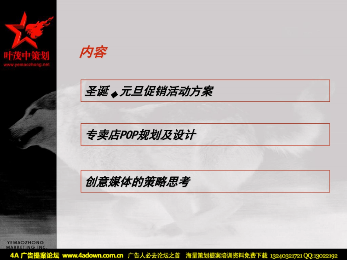 2004三六一度项目阶段提案圣诞元旦促销活动方案-叶茂中-54P_第4页