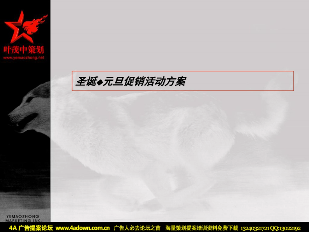 2004三六一度项目阶段提案圣诞元旦促销活动方案-叶茂中-54P_第5页