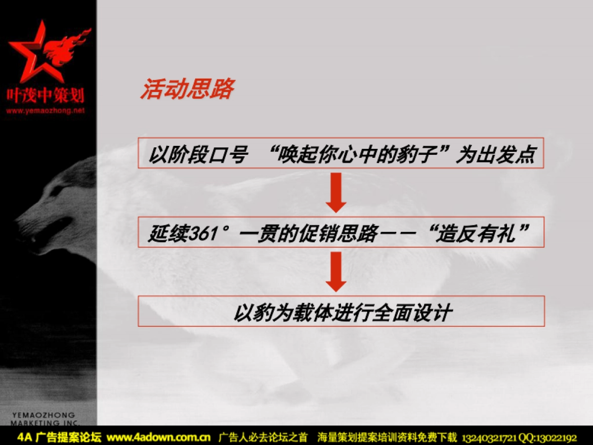 2004三六一度项目阶段提案圣诞元旦促销活动方案-叶茂中-54P_第8页