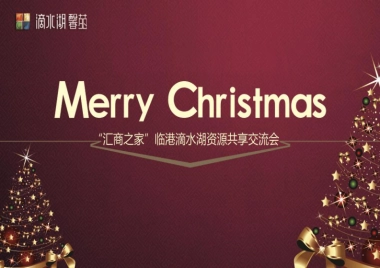 2011滴水湖圣诞活动策划提案-30P