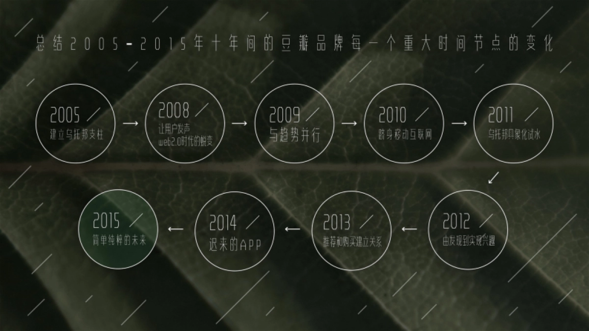 2015-豆瓣十周年-品牌策略创意提案_第2页