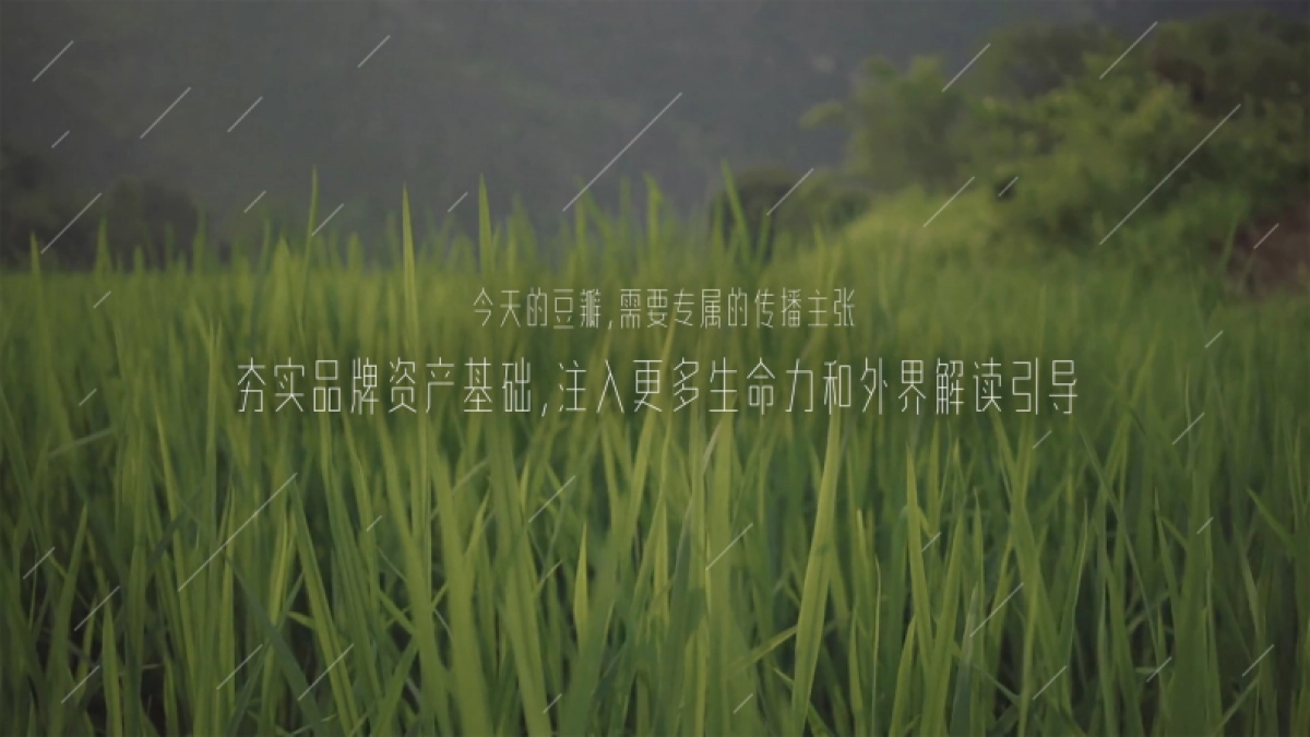 2015-豆瓣十周年-品牌策略创意提案_第6页