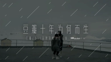 2015-豆瓣十周年-品牌策略创意提案