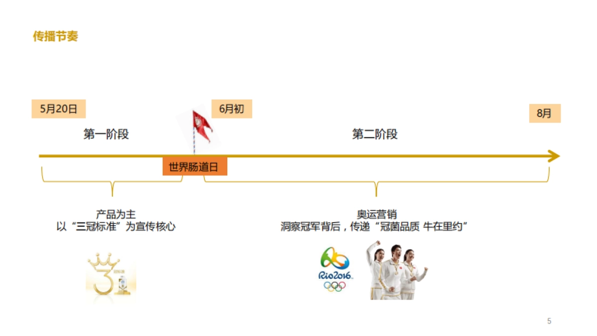 2016 冠益乳 数字营销创意方案 _第5页