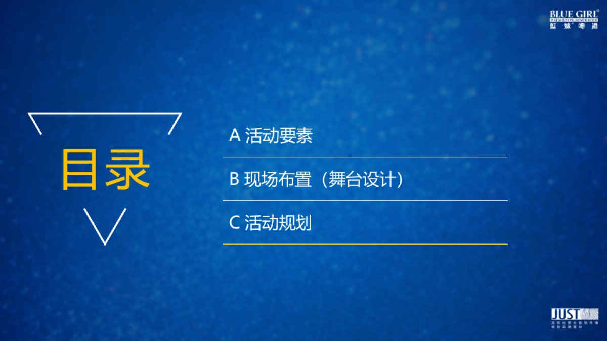 2017爱尚蓝妹演唱会创意规划方案_第2页