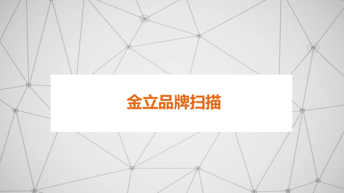 2017年金立双微规划提案_第4页