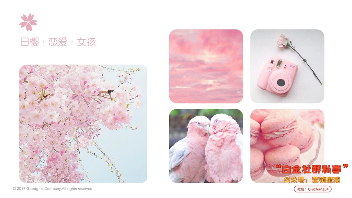 2018年星巴克樱花提案Sakura_第3页