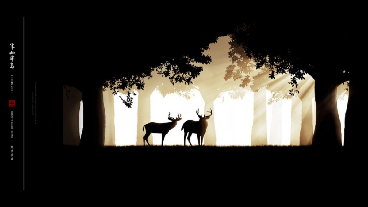 北京某一线-年半山半岛视觉提案_第3页