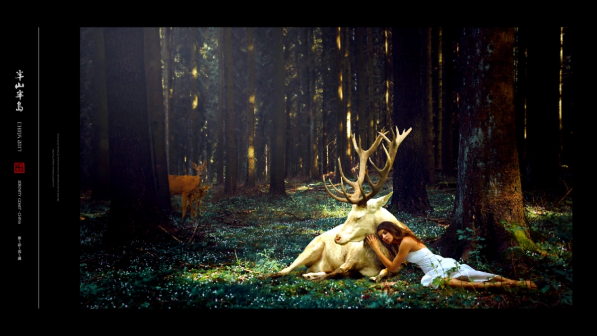 北京某一线-年半山半岛视觉提案_第4页