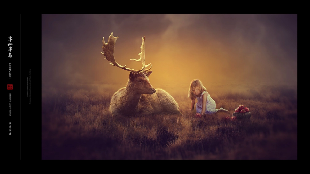 北京某一线-年半山半岛视觉提案_第5页