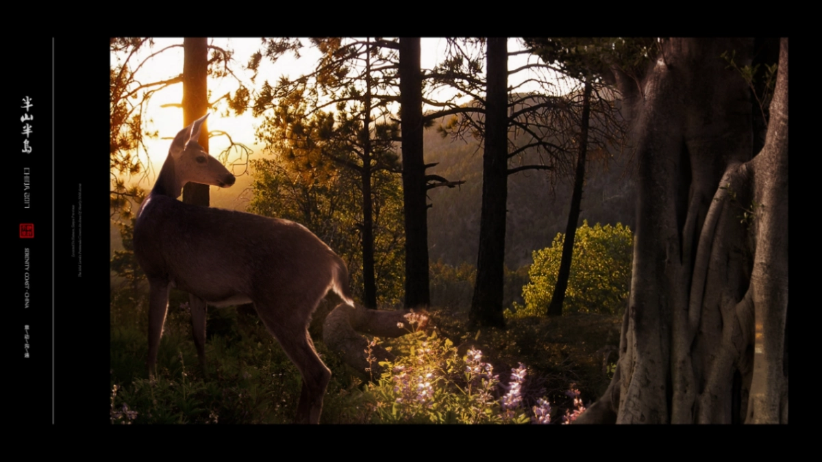 北京某一线-年半山半岛视觉提案_第6页