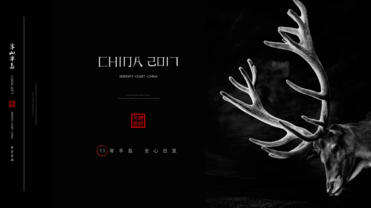 北京某一线-年半山半岛视觉提案_第7页