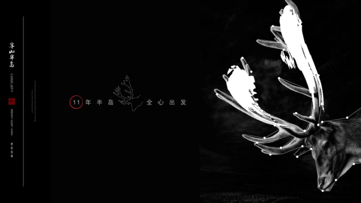 北京某一线-年半山半岛视觉提案_第8页