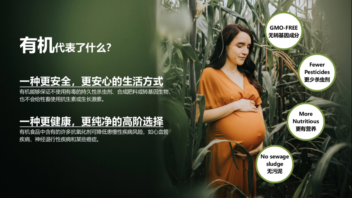 贝拉米D11创意营销方案_第2页