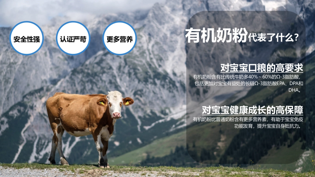 贝拉米D11创意营销方案_第3页