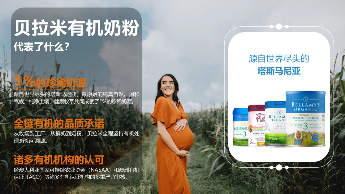 贝拉米D11创意营销方案_第4页