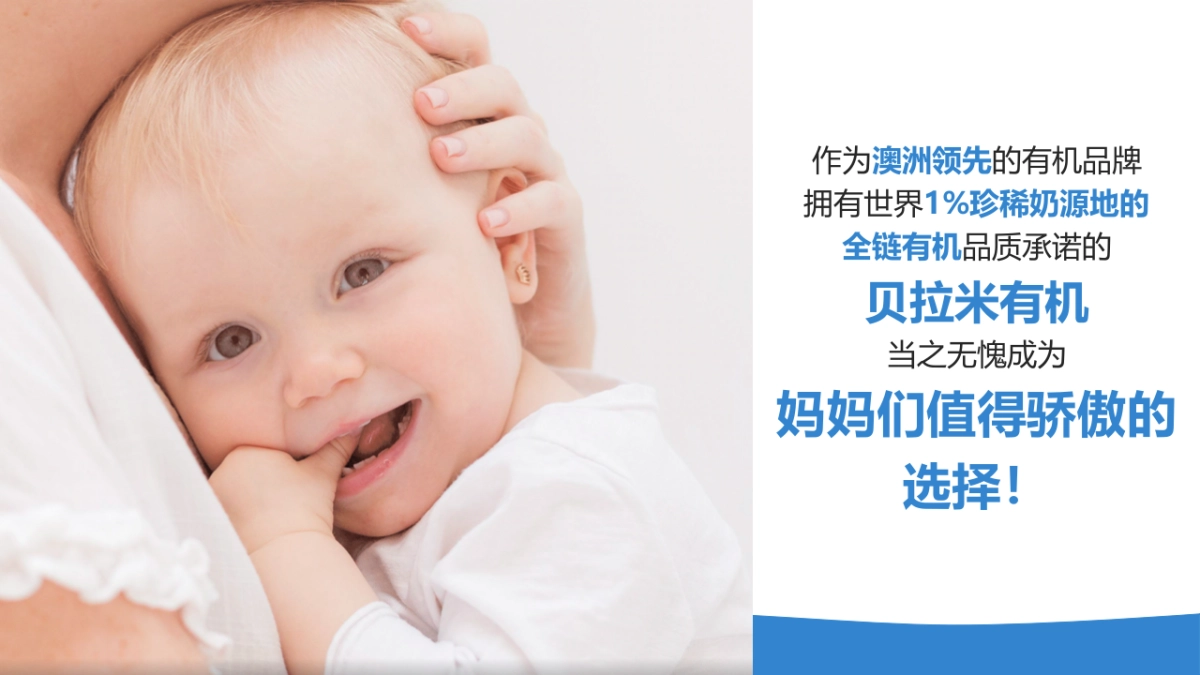 贝拉米D11创意营销方案_第5页