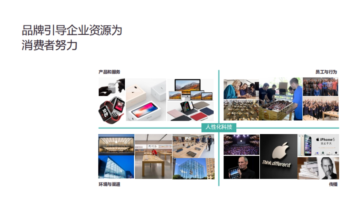 倍加洁品牌升级提案文件_第5页