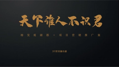 2020常青藤传播-福州榕发观湖郡整合推广提案