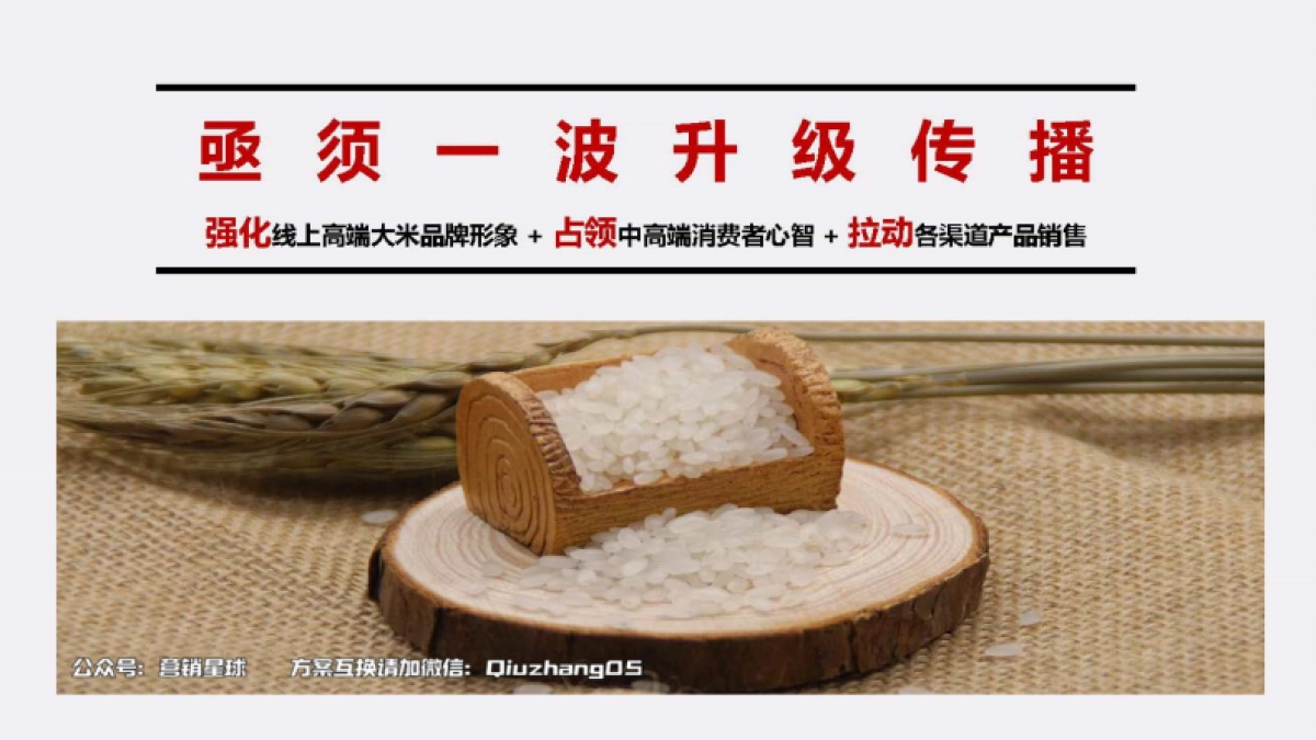 2021ru玉皇妃电商推广提案_第5页