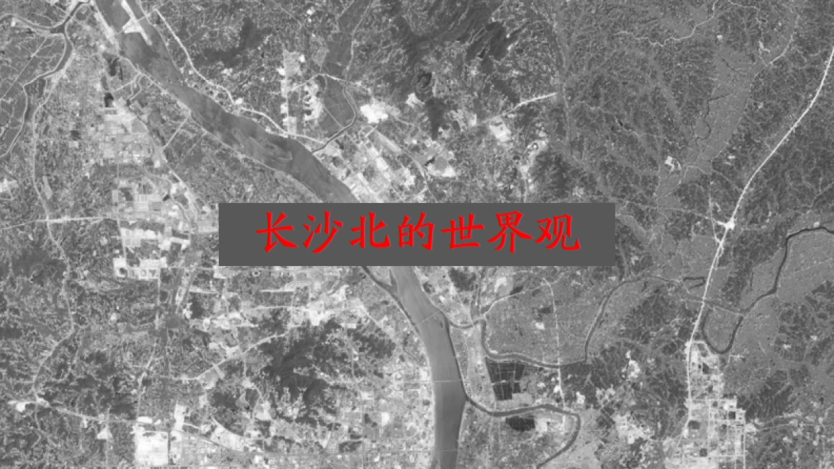 2021长沙融创城叠墅年度提案_第4页