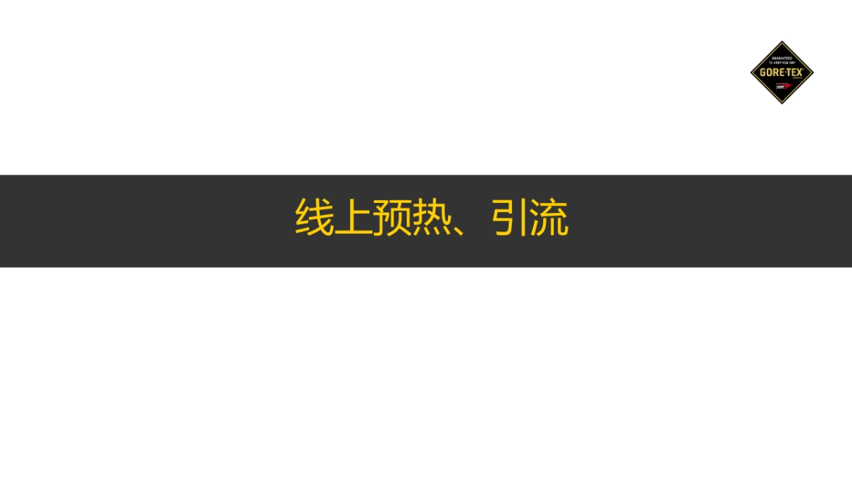 GROE-TEX DP路演 提案_第10页
