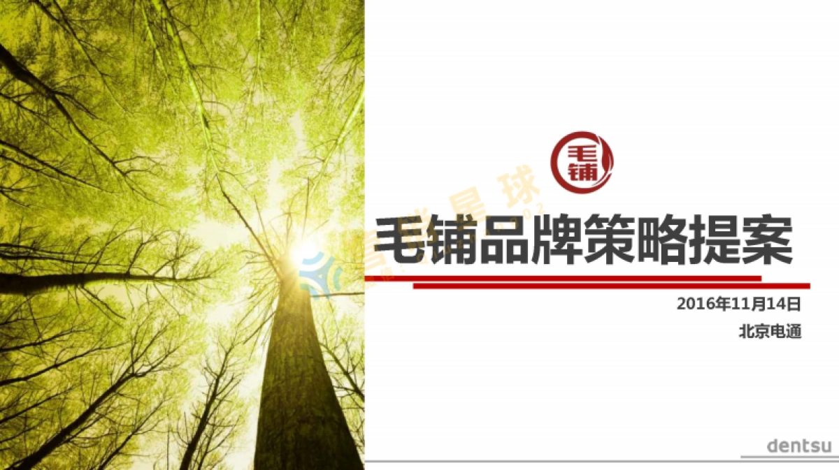 电通-毛铺品牌策略提案_压缩_第1页