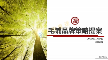 电通-毛铺品牌策略提案_压缩