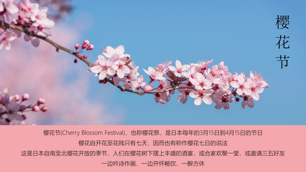 都市里的樱花味 春季创意樱花游园会活动策划方案_第4页