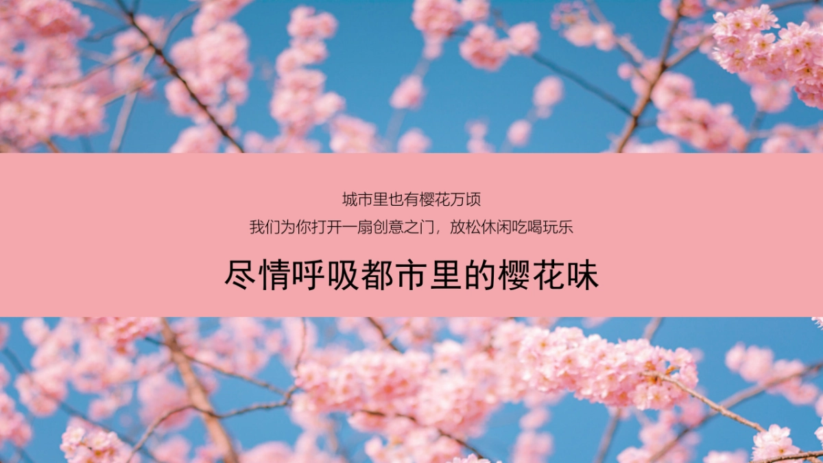 都市里的樱花味 春季创意樱花游园会活动策划方案_第6页