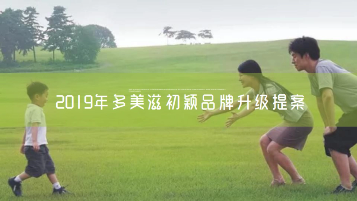 多美滋奶粉初颖品牌策略提案_第2页