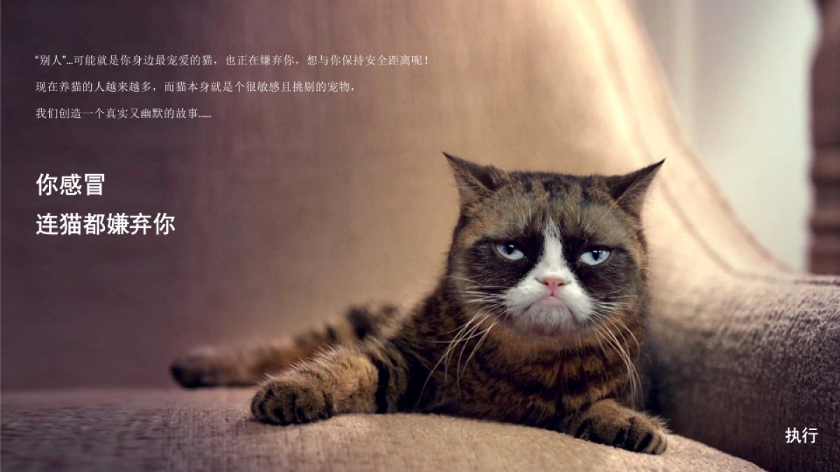 感康电视广告TVC提案_第5页