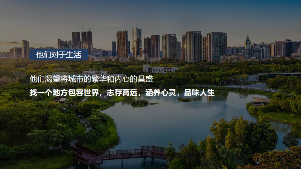 高档地产大平层项目策略提案_第10页