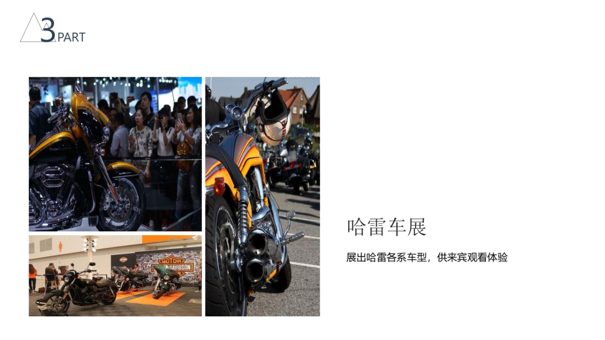 哈雷车友会活动提案_第10页