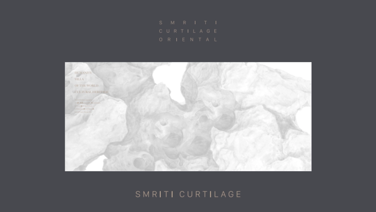 红鹤沟通-苏州仁恒仓街项目耦前别墅提案_第10页