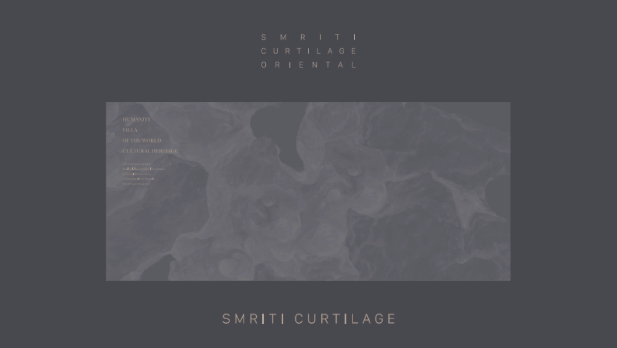 红鹤沟通-苏州仁恒仓街项目耦前别墅提案_第5页