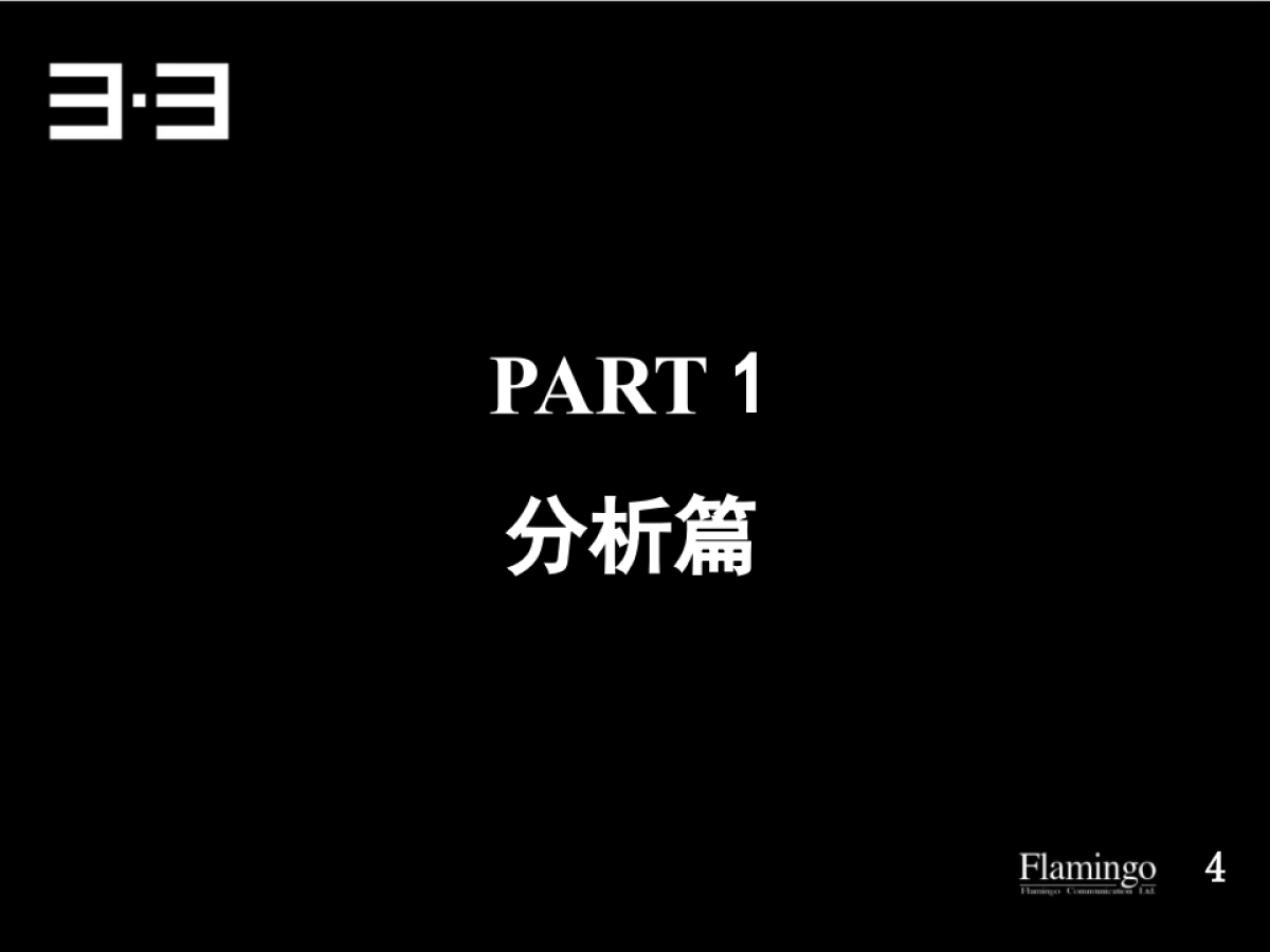 红鹤综合体战略提案_第4页