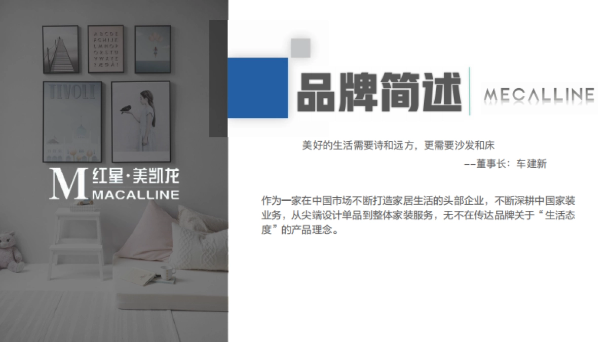 红星美凯龙引流快闪 创意方案_第2页