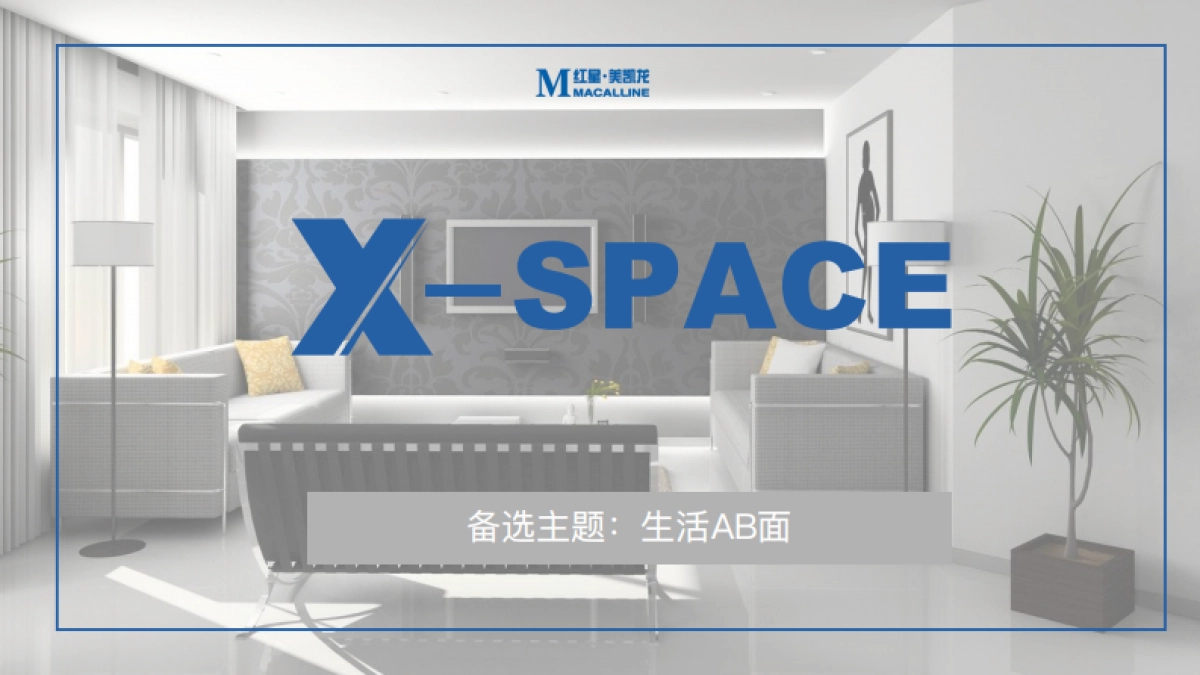 红星美凯龙引流快闪 创意方案_第5页