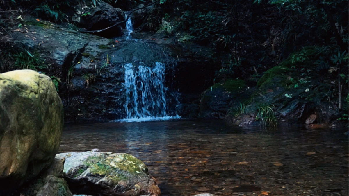 上海创邑-安吉悠阔·逸谷视觉提案_第4页