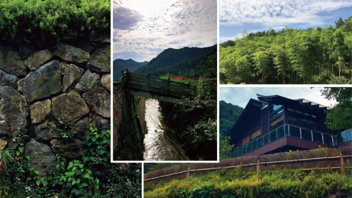 上海创邑-安吉悠阔·逸谷视觉提案_第6页