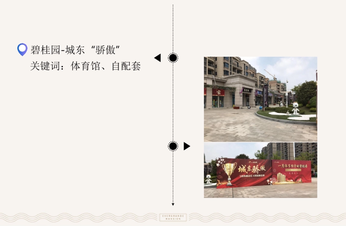 上海德锦行-仪征·恒大御府企划推广提案_第8页