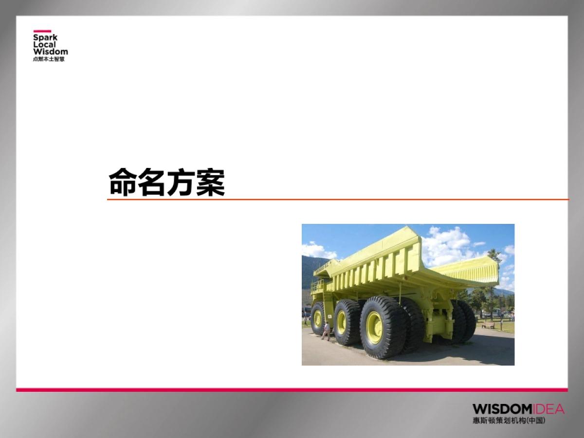 金驰车辆品牌命名提案_第10页