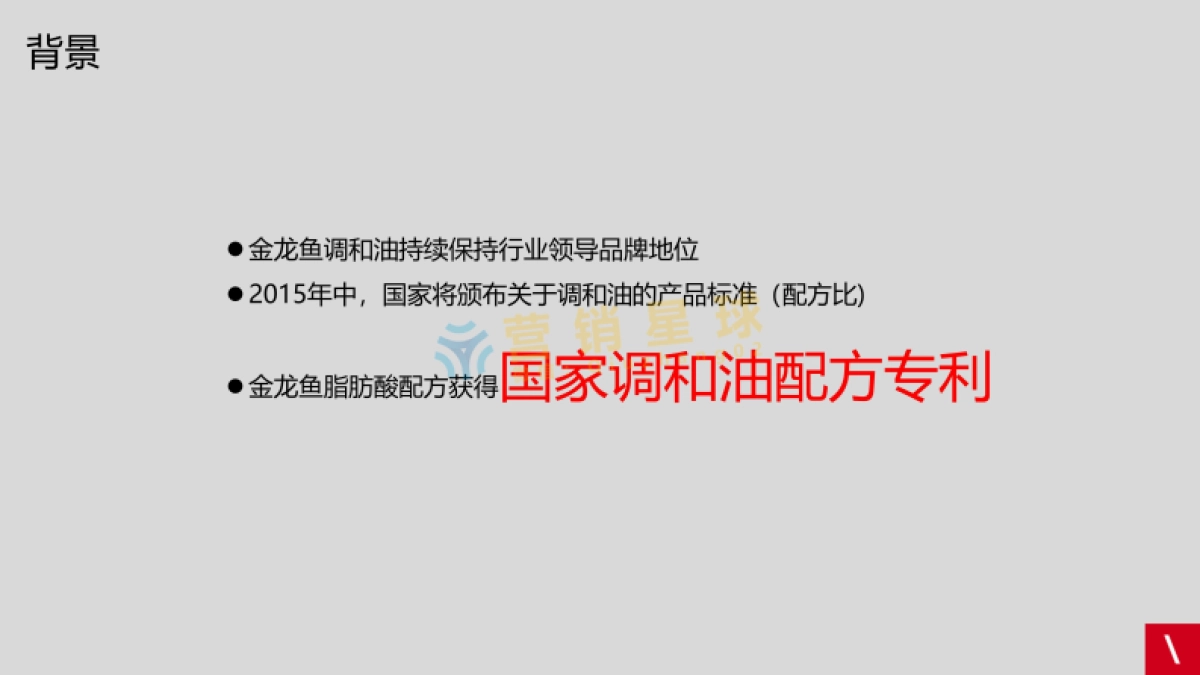 金龙鱼品牌传策略及创意方案_第2页