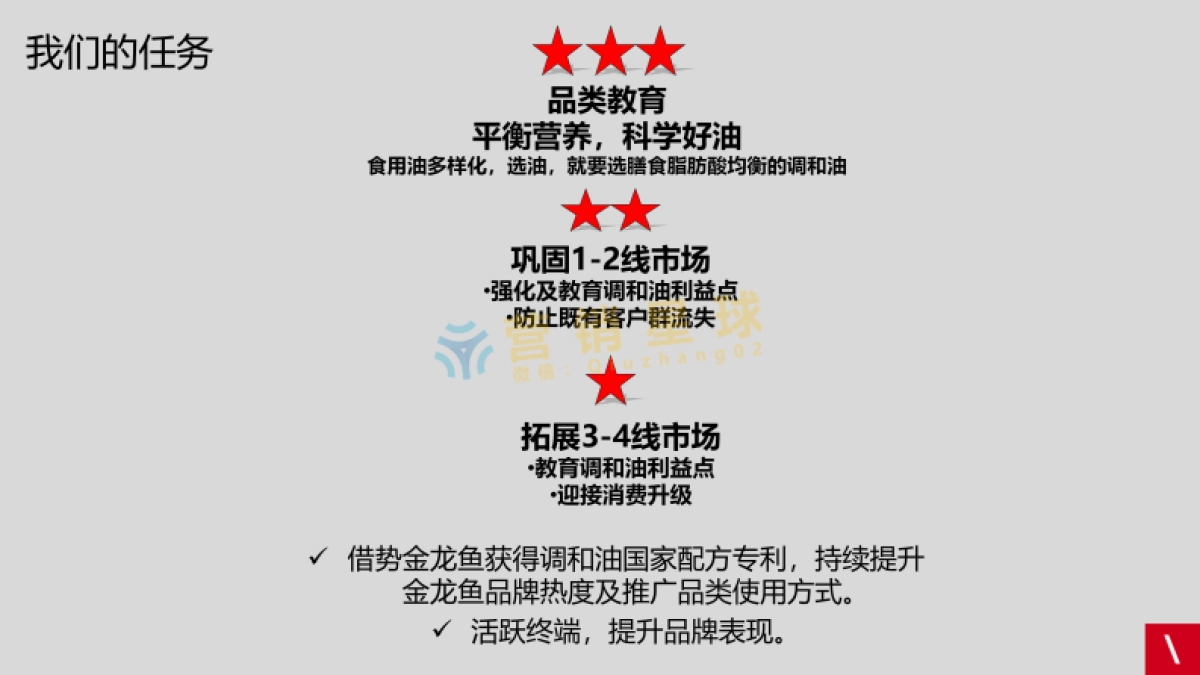 金龙鱼品牌传策略及创意方案_第3页