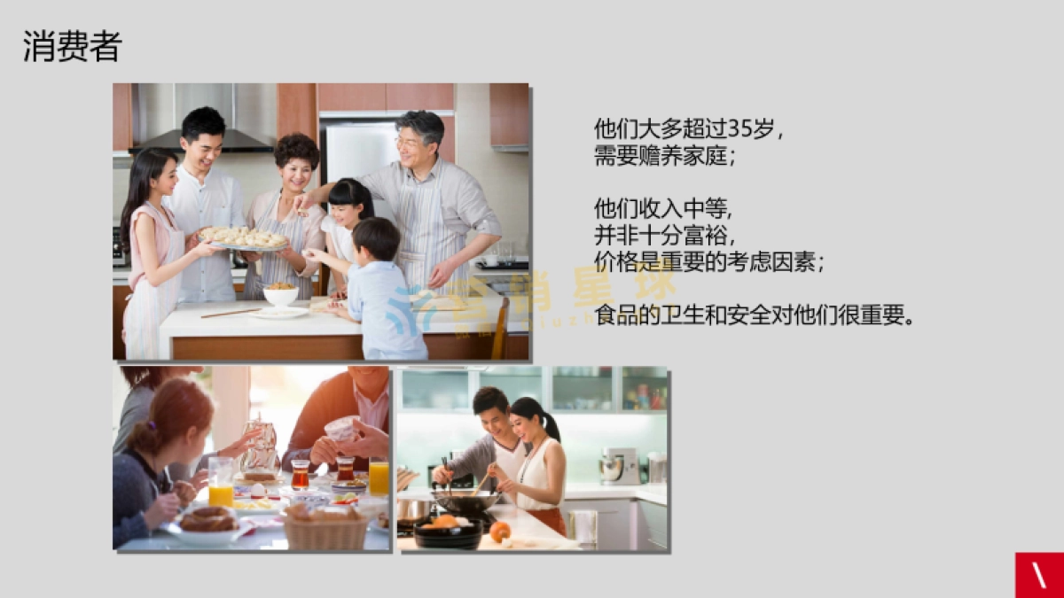 金龙鱼品牌传策略及创意方案_第5页