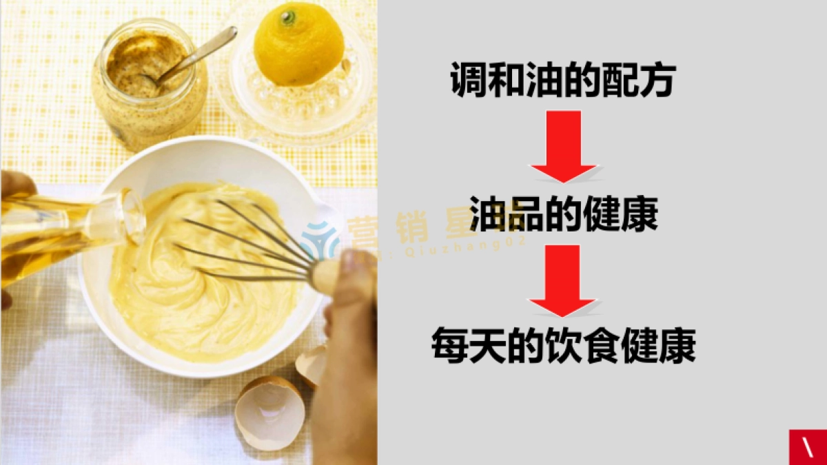 金龙鱼品牌传策略及创意方案_第8页