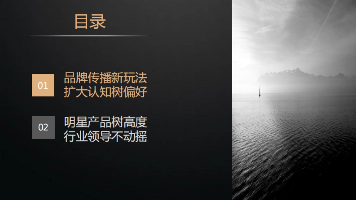 卡萨帝家电品牌营销策划提案方案-133P_第4页