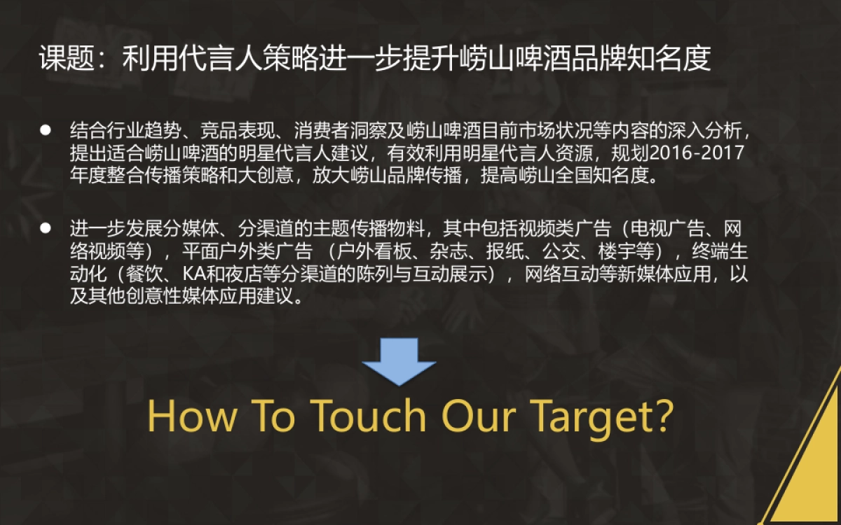 崂山啤酒提案_第8页